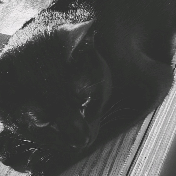 Meet your Posher, Katie - Picture 1 of 1